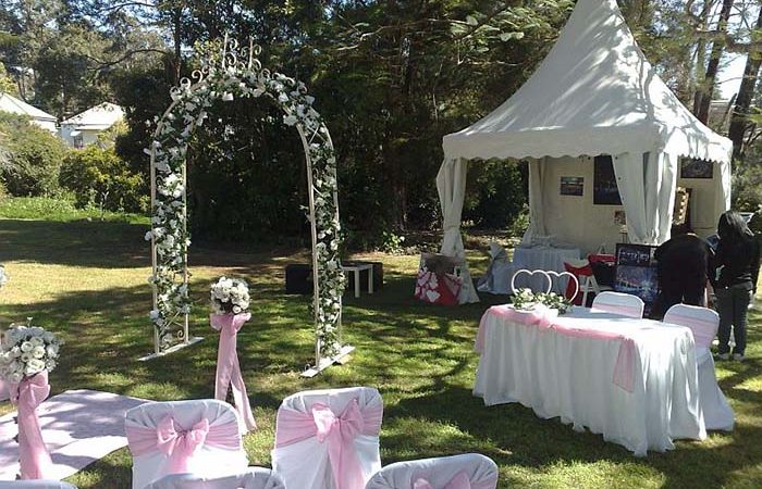 Wedding Arch