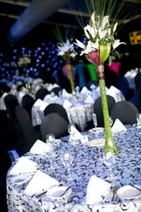 party hire Gold Coast